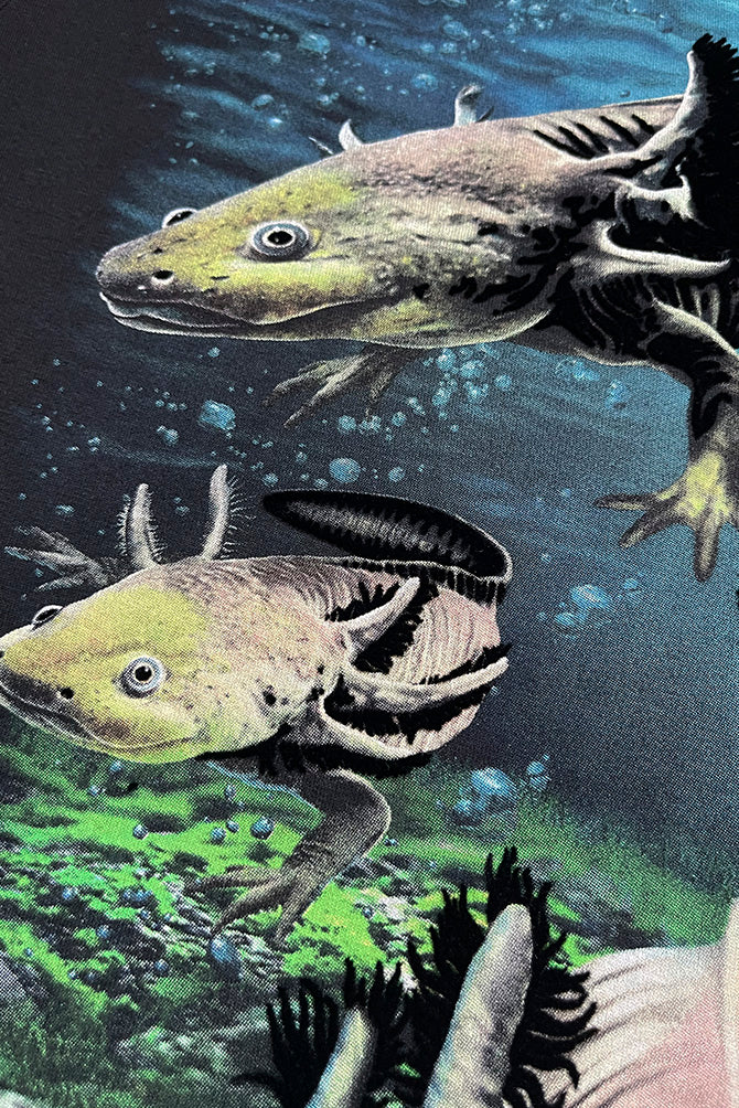 PLAYERA CABALLERO AJOLOTE