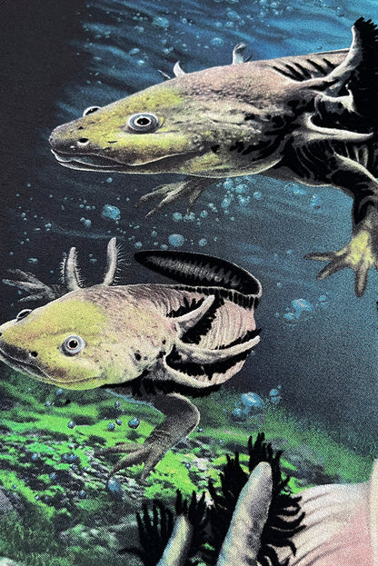 PLAYERA CABALLERO AJOLOTE