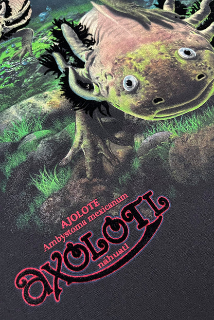 PLAYERA CABALLERO AJOLOTE