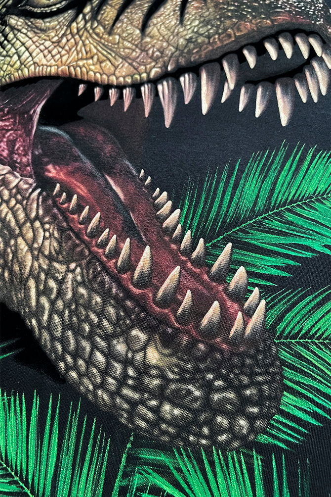 PLAYERA NIÑA DINOSAURIO