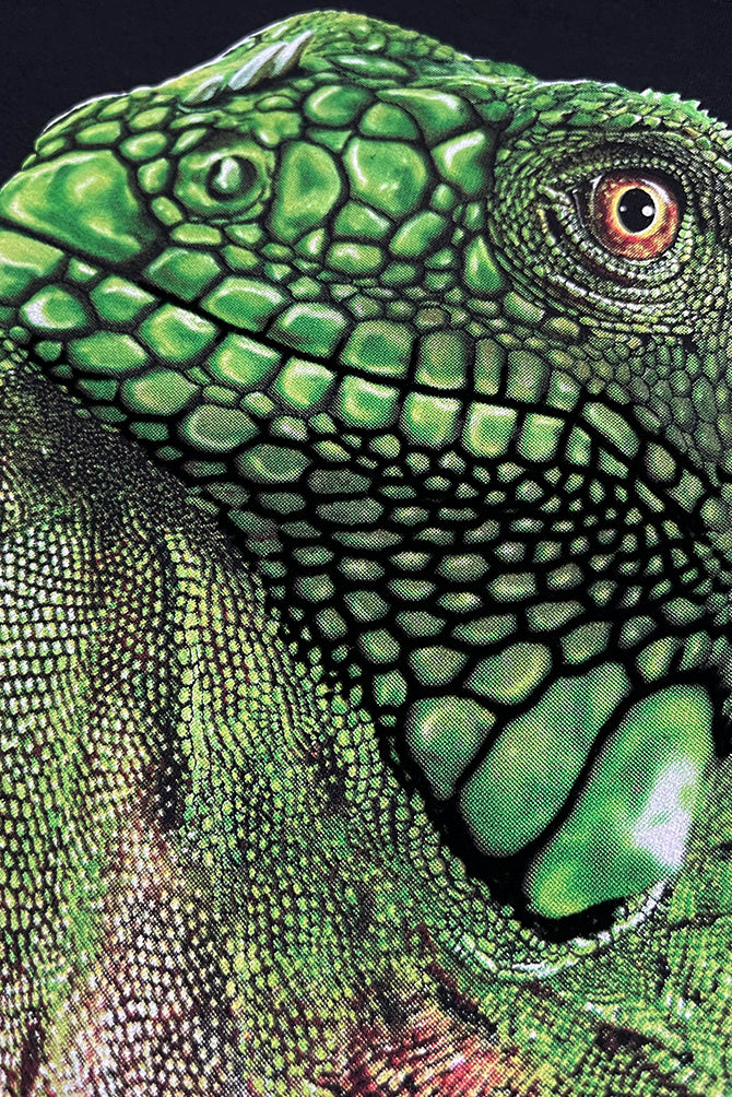 PLAYERA CABALLERO IGUANA VERDE