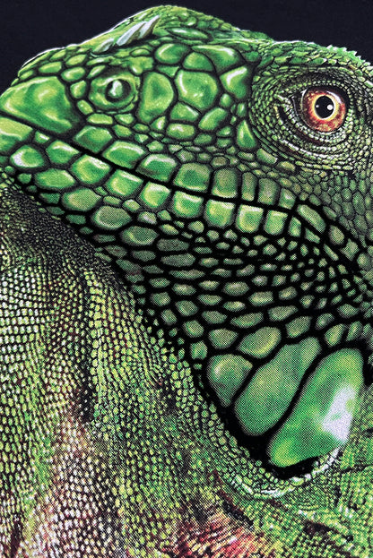 PLAYERA CABALLERO IGUANA VERDE