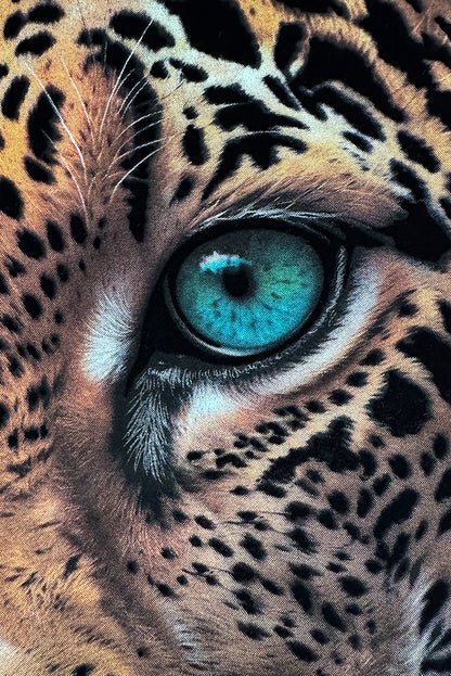 PLAYERA CABALLERO JAGUAR OJOS EN LA NOCHE