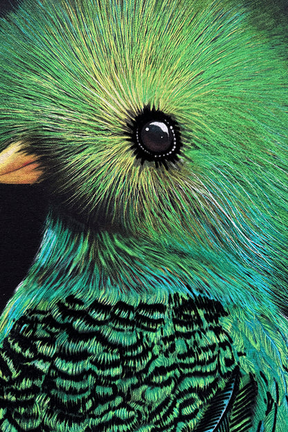 PLAYERA DAMA QUETZAL