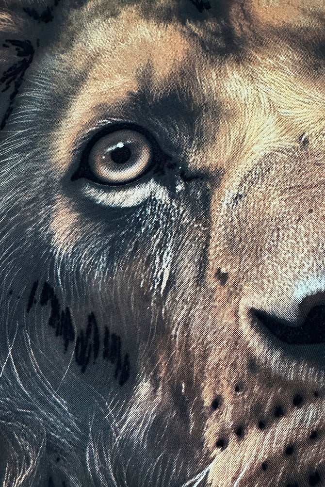 PLAYERA PREMIUM CABALLERO LEON SEASHORE