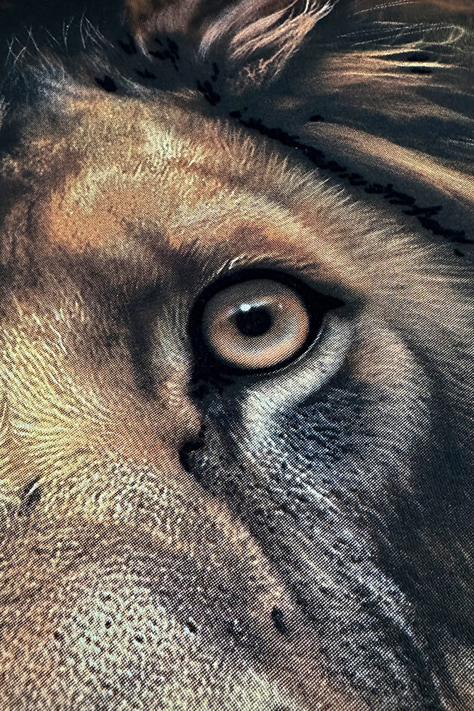 PLAYERA PREMIUM CABALLERO LEON SEASHORE