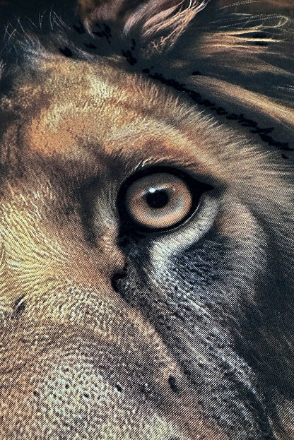 PLAYERA PREMIUM CABALLERO LEON SEASHORE