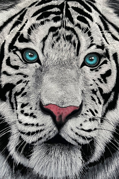 PLAYERA CABALLERO MANGA LARGA TIGRE BLANCO