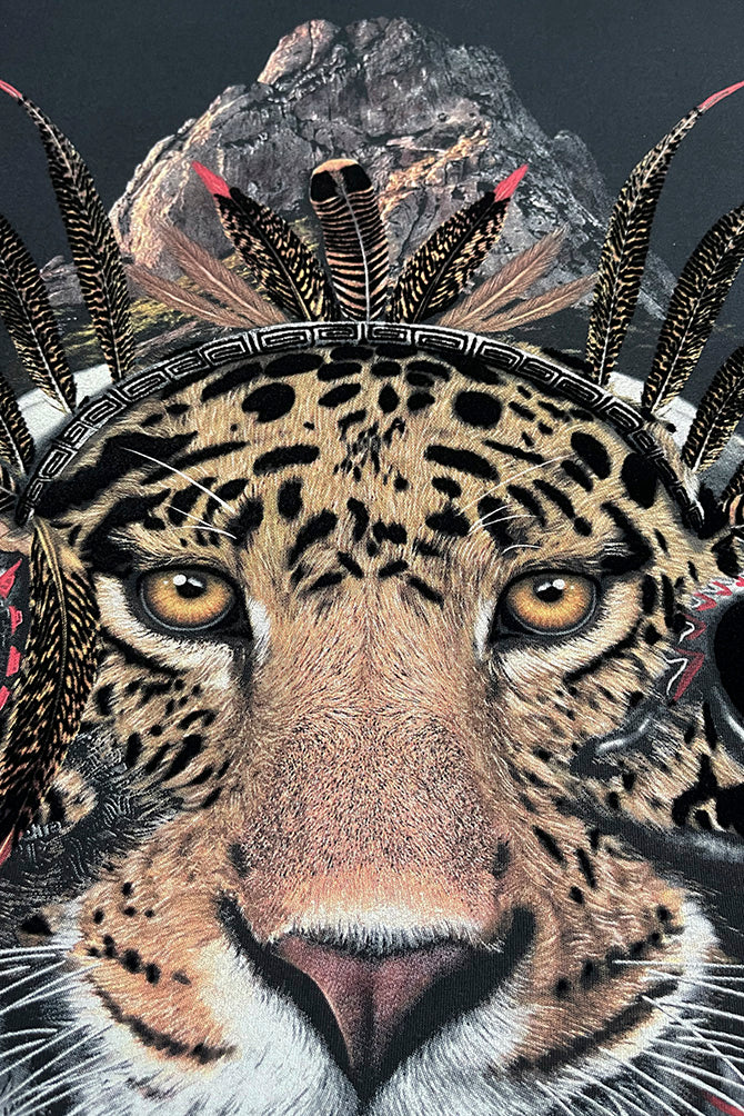 PLAYERA CABALLERO MONTAÑA DE PIEDRA